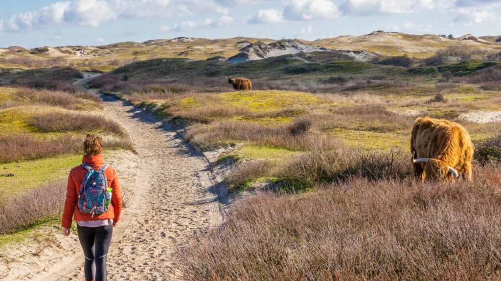 Nieuwe gids en vernieuwde route Oosterscheldepad