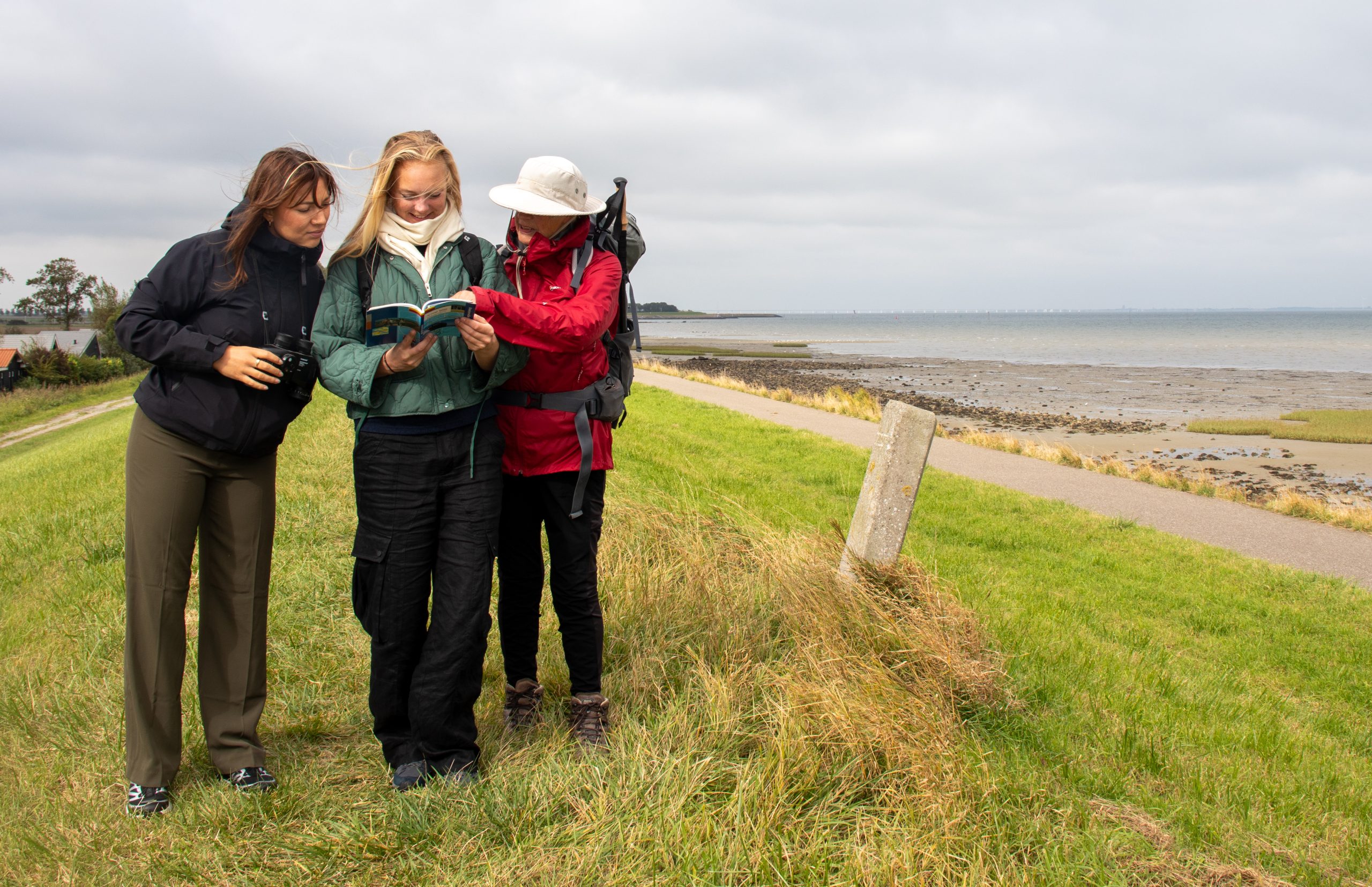 Oosterscheldepad-05