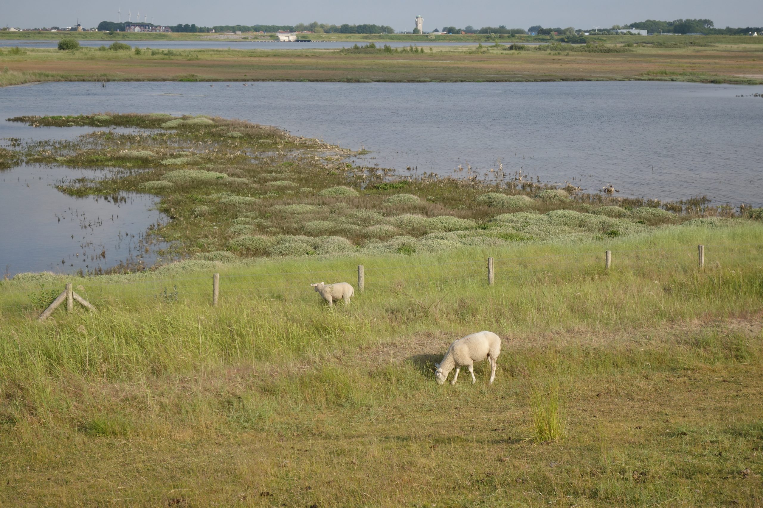 Gezicht op St Philipsland