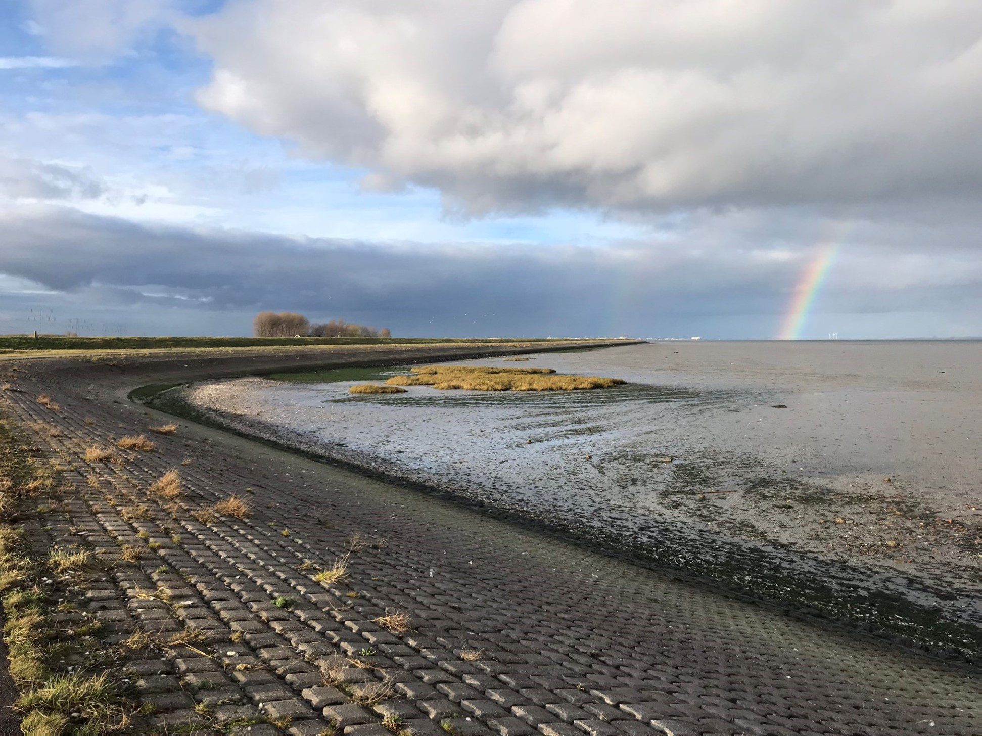 Mooi_Regenboog bij Krabbendijke
