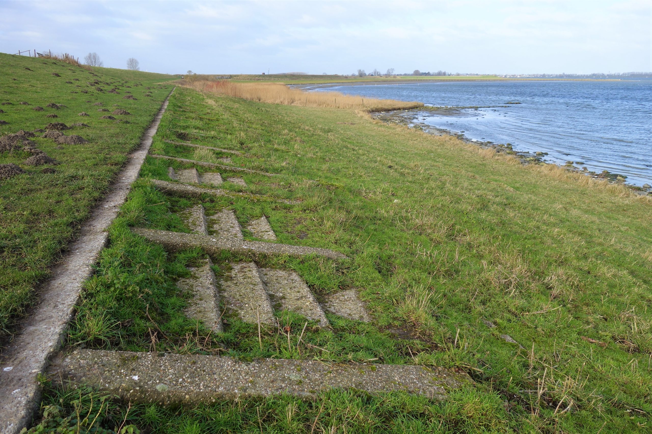 Muraltglooiing Veerse Meer