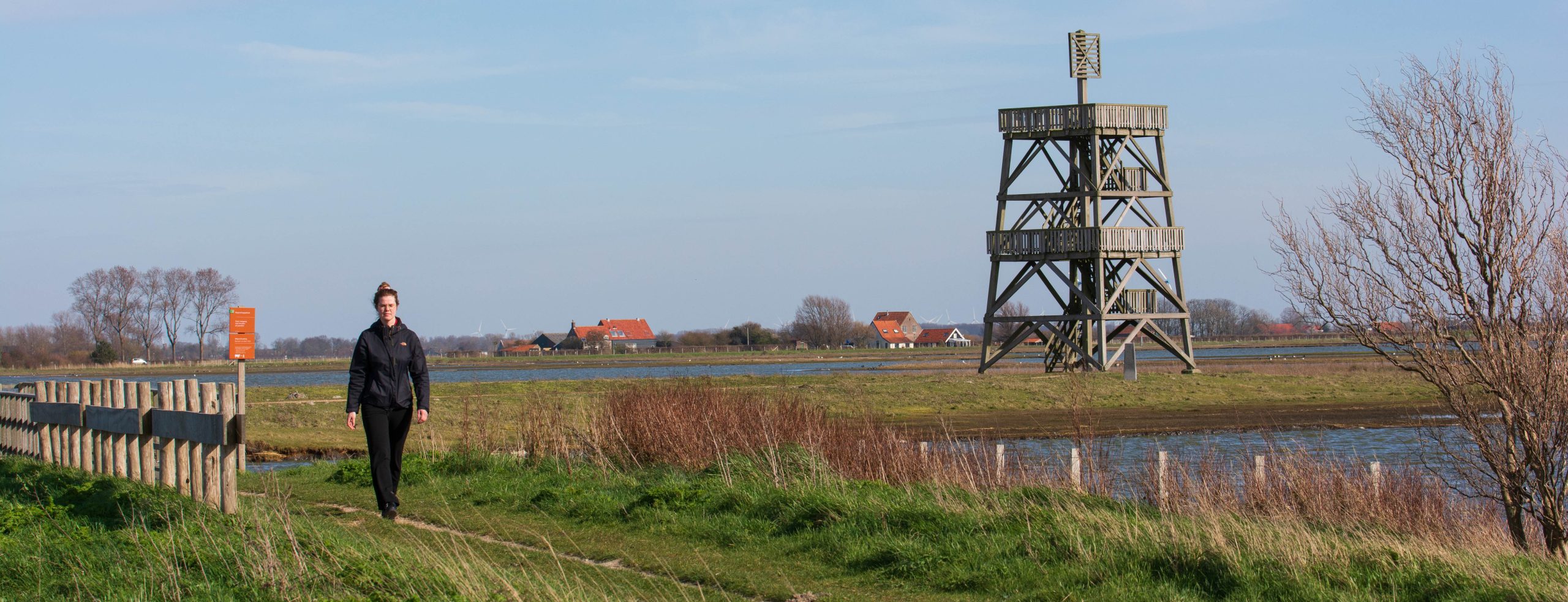 Oosterschelde, Zuidkust Schouwen - poelgebied met zilte natuur - gemeente Schouwen-Duiveland - Annelien Bij de Vaate - 1
