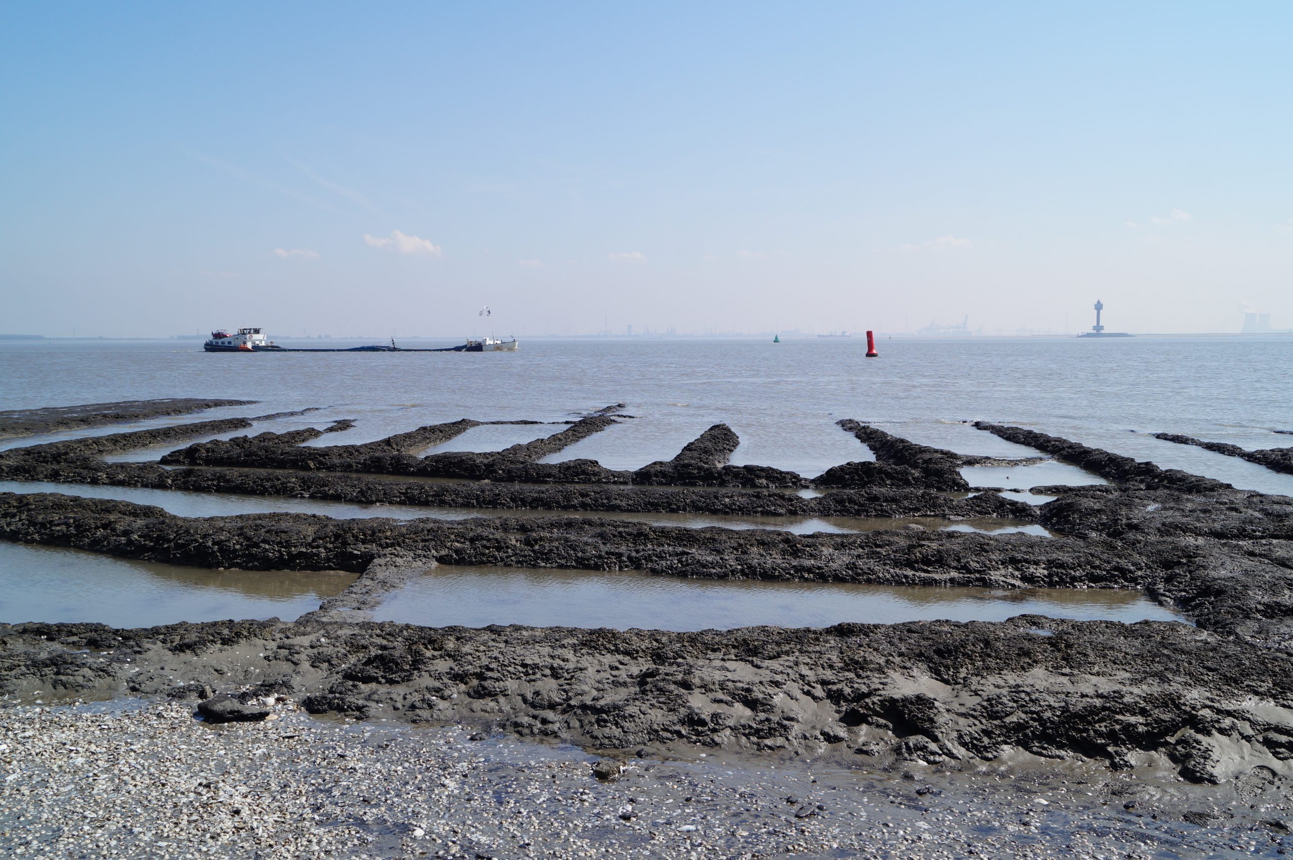 Oud Rilland - Westerschelde