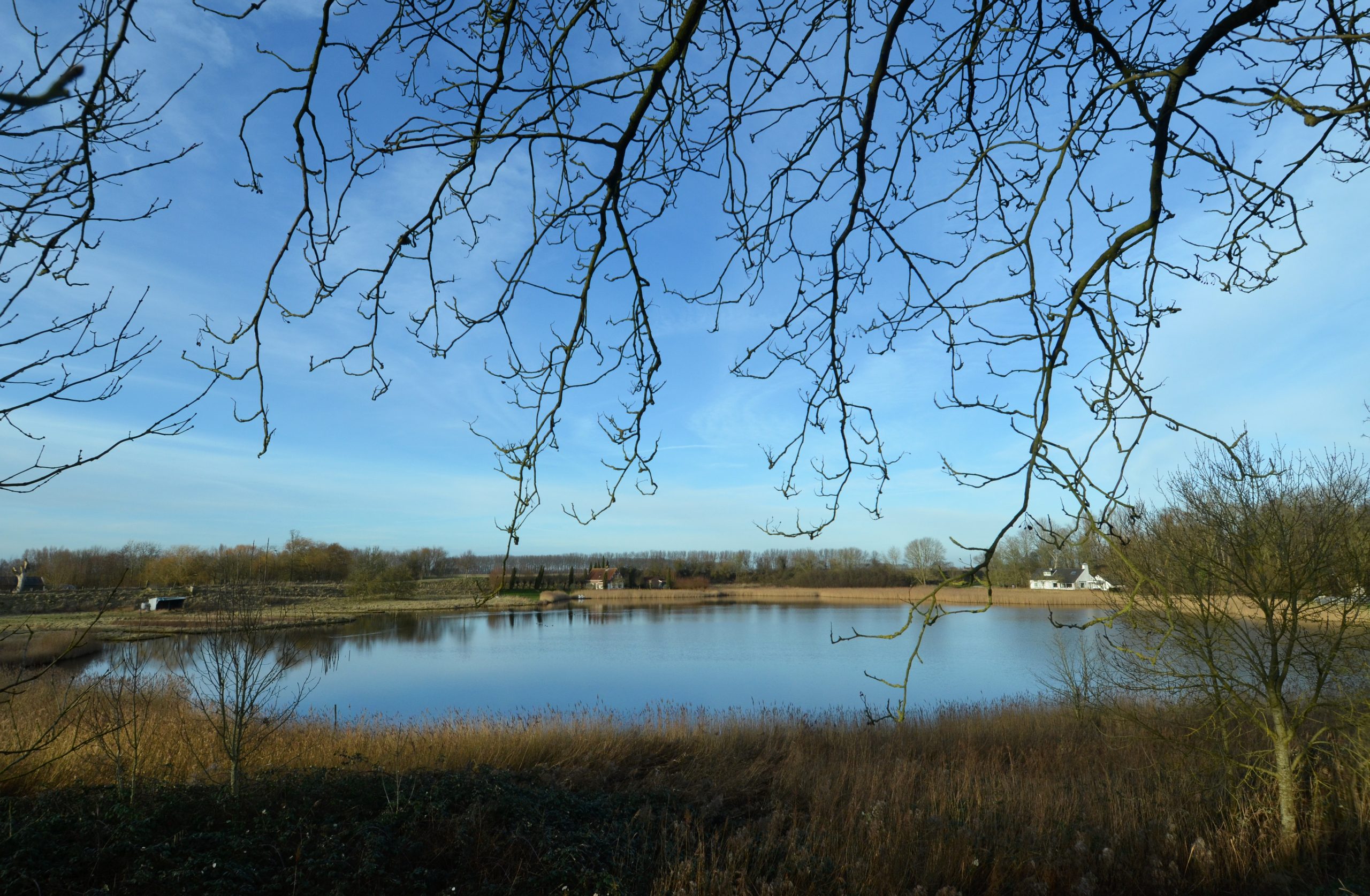 Terluchtse Weel