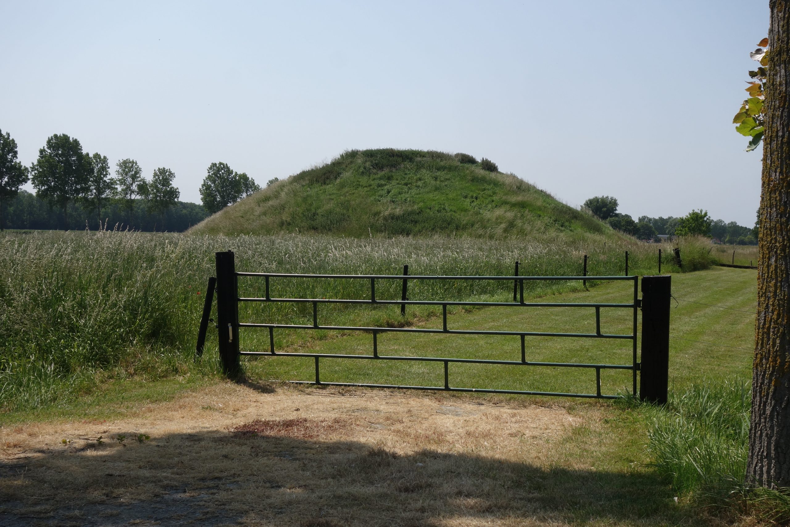 Westkerkse Vliedberg