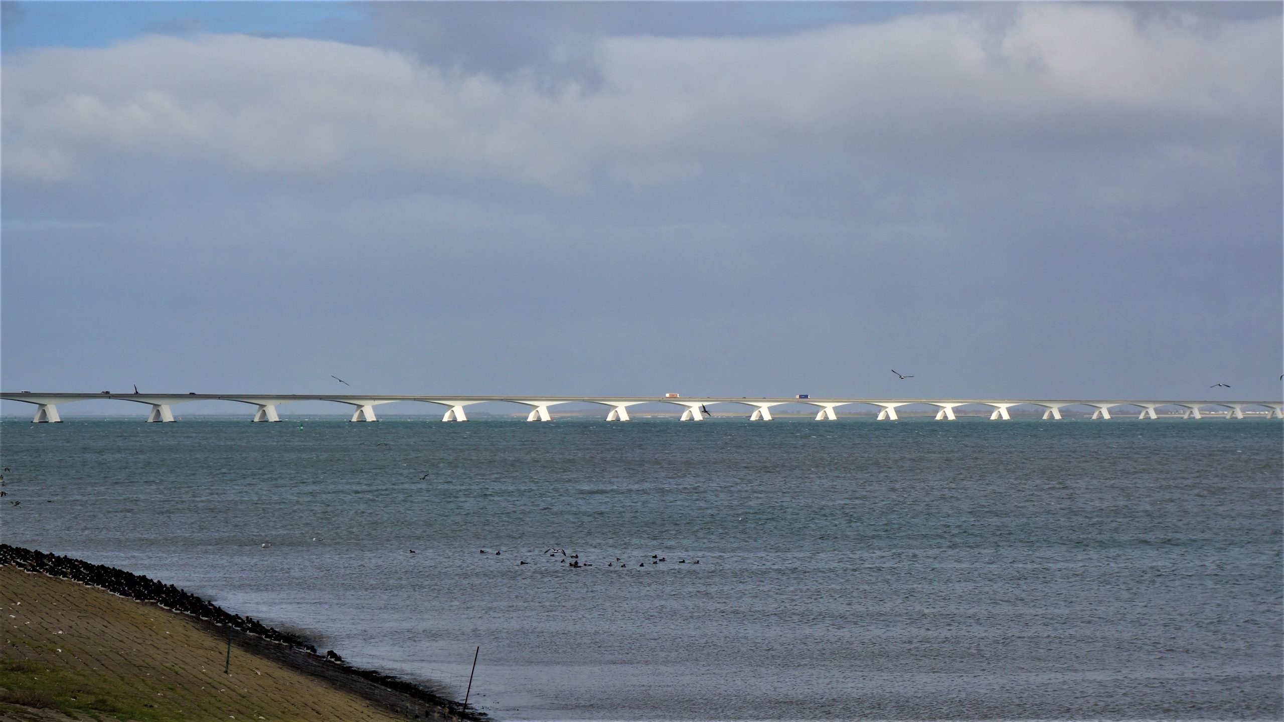 Zicht op de Zeelandbrug